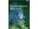 Verborgene Welten - Das geheime Leben der Insekten DVD
