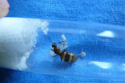 P1000784 (Medium).JPG