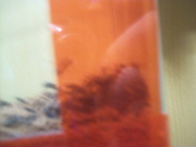 Ameisenbilder 003.JPG