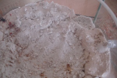 Hoffe man kann es erkennen in der Mitte ist Quasi wie eine große Mulde, die mit 4 KG Sand Lehm Gemisch gefüllt wurde. / DSC02625.JPG DSC02625.JPG