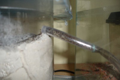 Hier sind sie gerade beim einziehen:-) / DSC02622.JPG DSC02622.JPG