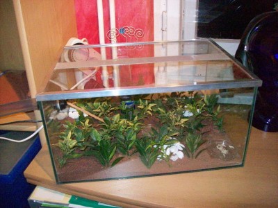 Ameisenbilder 006.jpg