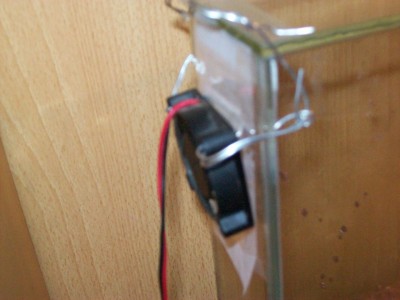 Der Lüfter / Ameisenbilder 021.jpg Ameisenbilder 021.jpg