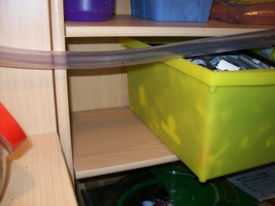 Der Schlauch / Ameisenbilder 055.jpg Ameisenbilder 055.jpg