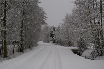 DSC02494 (Small).JPG