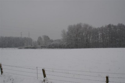 DSC02498 (Small).JPG