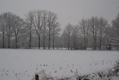 DSC02500 (Small).JPG