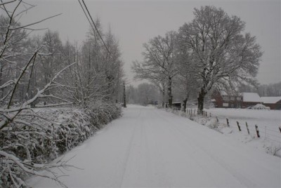 DSC02501 (Small).JPG