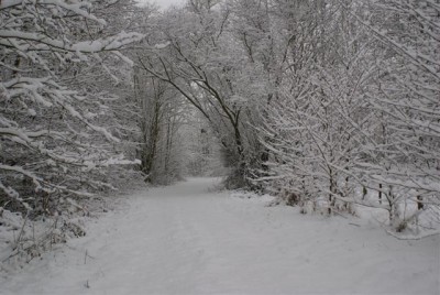 DSC02505 (Small).JPG