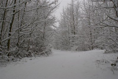 DSC02508 (Small).JPG