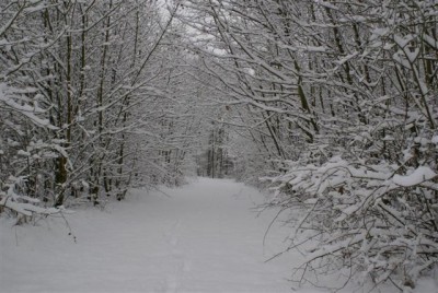 DSC02510 (Small).JPG