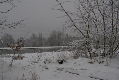 DSC02511 (Small).JPG