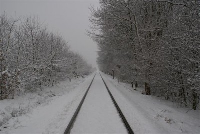 DSC02514 (Small).JPG