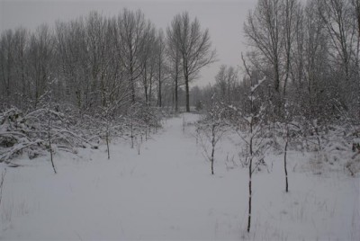 DSC02521 (Small).JPG