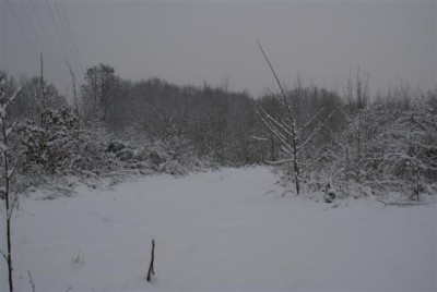 DSC02522 (Small).JPG