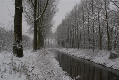 DSC02524 (Small).JPG