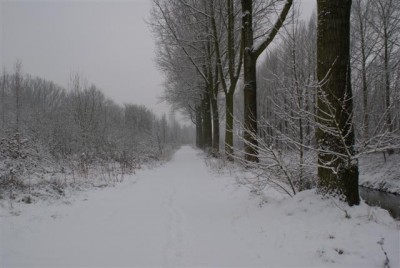 DSC02525 (Small).JPG