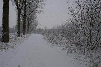 DSC02527 (Small).JPG