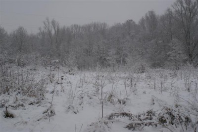 DSC02529 (Small).JPG