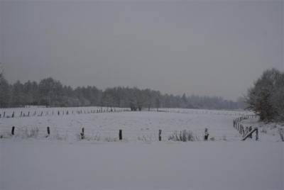 DSC02531 (Small).JPG