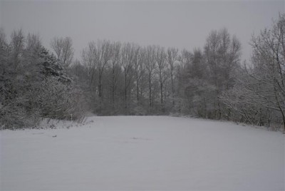 DSC02532 (Small).JPG