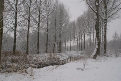 DSC02535 (Small).JPG