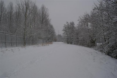 DSC02542 (Small).JPG