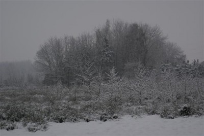 DSC02544 (Small).JPG