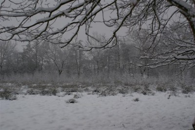 DSC02545 (Small).JPG