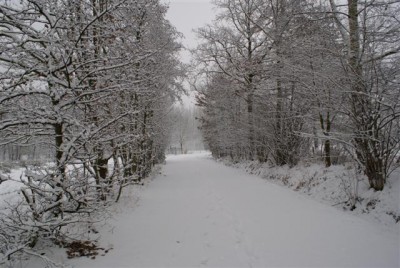 DSC02546 (Small).JPG