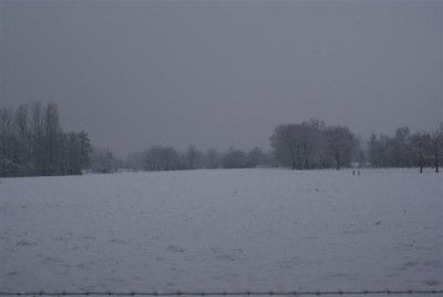 DSC02547 (Small).JPG