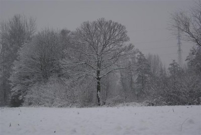 DSC02548 (Small).JPG