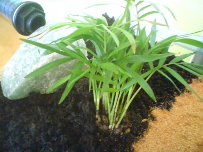 Bepflanzung Farm.JPG