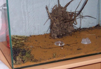 Vor der Schiefertafelnhöhle.JPG