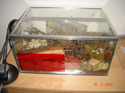 nestbecken 16.0.2.jpg