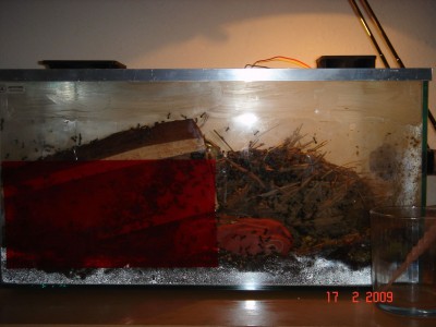 nestbecken 17.1.2.jpg