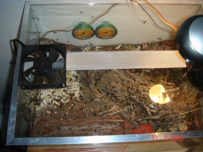 nestbecken 17.2.2.jpg