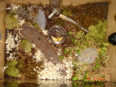 18.02 ... Futterbecken / futterbecken 18.02.jpg futterbecken 18.02.jpg