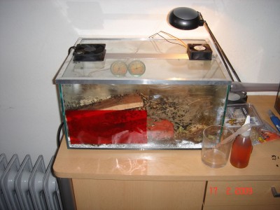 18.02 ... Nestbecken von der seite / nestbecken 18.0.2.jpg nestbecken 18.0.2.jpg