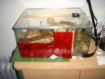 nestbecken 21.02.jpg