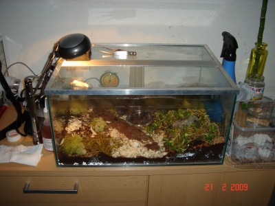 21.02 ... auch am futterbecken einige veränderungen / futterbecken 21.02.jpg futterbecken 21.02.jpg