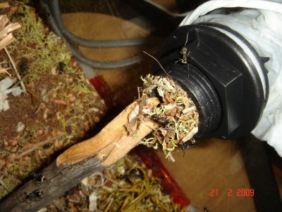 beckenverbinder 21.02.jpg