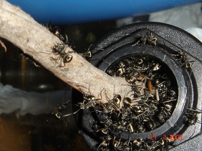 futterverbinder 21.02.jpg