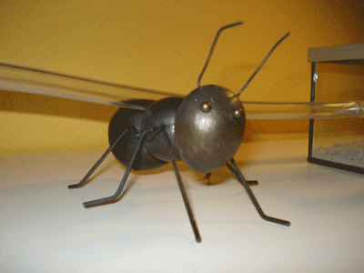 ameise2.gif