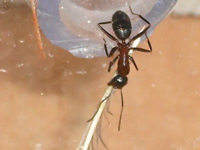 lewis picture 2 059.jpg