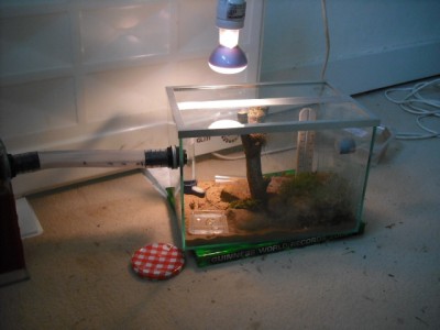 lewis picture 2 269.jpg