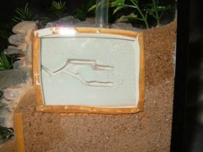 formicarium4.jpg