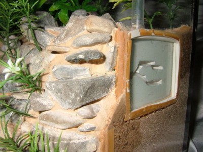 formicarium5.jpg