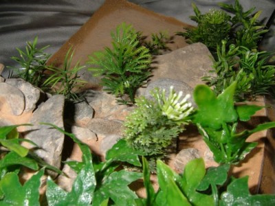 formicarium9.jpg