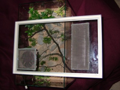 formicarium20.jpg